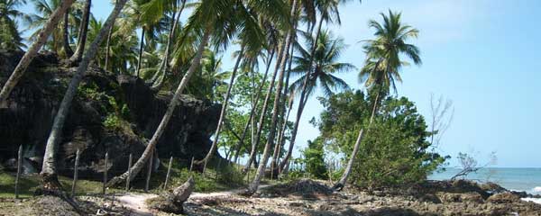 Boipeba -Cueira